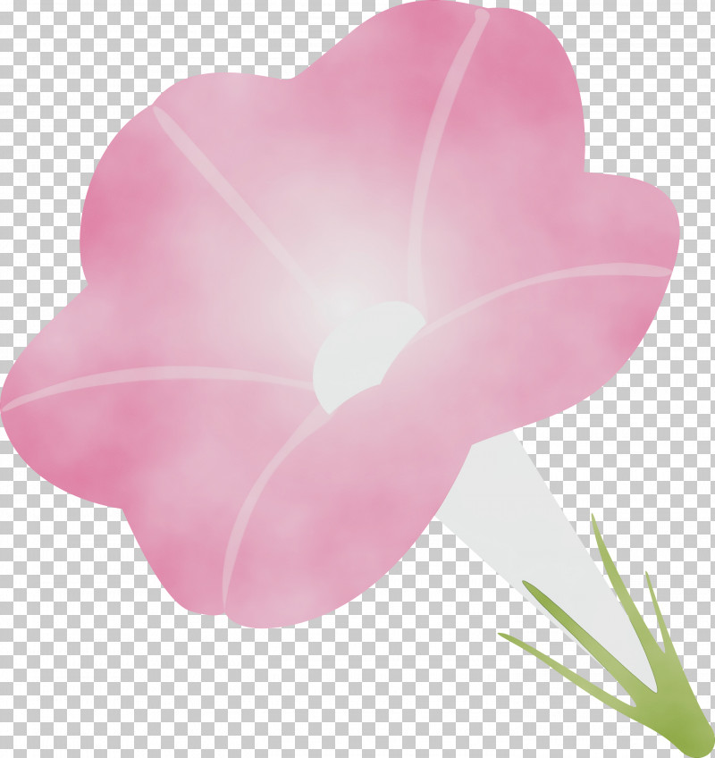 Petal Pink Flower Heart Plant PNG, Clipart, Flower, Heart, Herbaceous Plant, Morning Glory Flower, Paint Free PNG Download