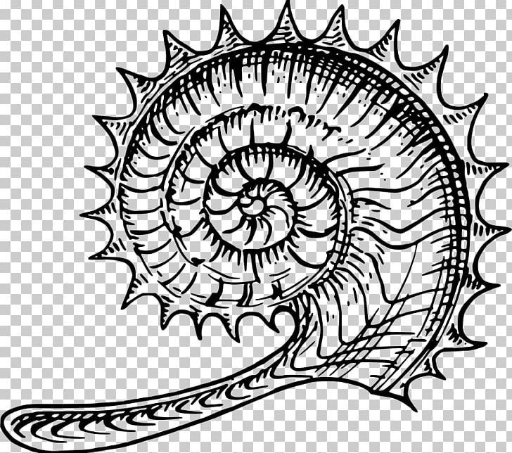 Ammonites Nautilidae PNG, Clipart, Ammonites, Animals, Area, Artwork, Black And White Free PNG Download