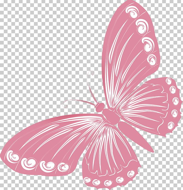 Butterfly Drawing PNG, Clipart, Arthropod, Brush Footed Butterfly, Butterflies And Moths, Butterfly, Desktop Wallpaper Free PNG Download