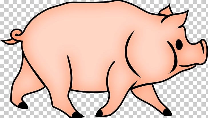 Domestic Pig Drawing Coloring Book PNG, Clipart, Animal, Animal Figure, Artwork, Cartoon, Cattle Like Mammal Free PNG Download