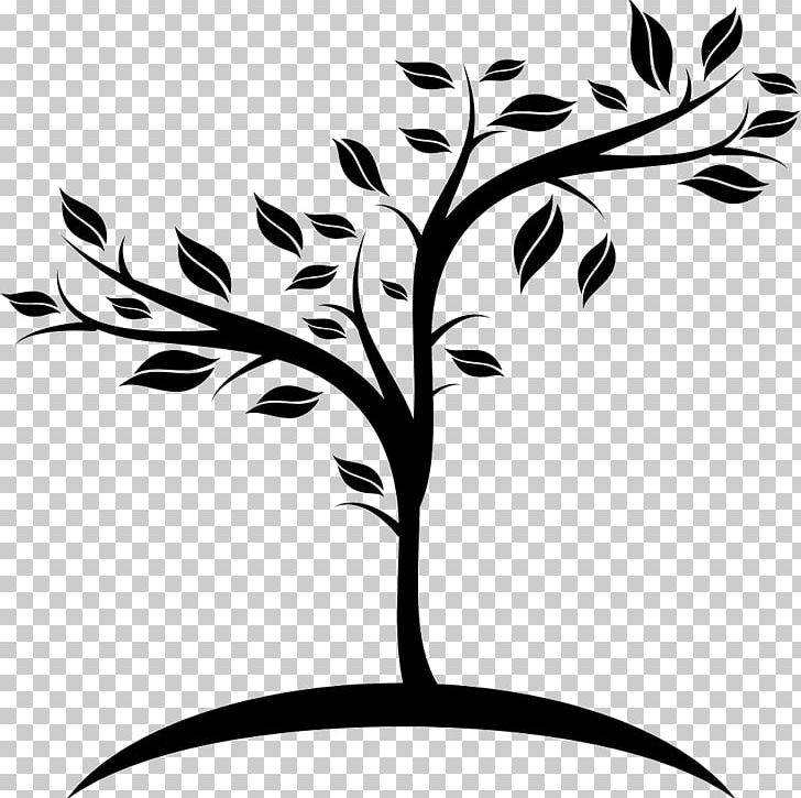Fruit Tree Computer Icons Encapsulated PostScript PNG, Clipart, Artwork, Black And White, Branch, Computer Icons, Date Palm Free PNG Download