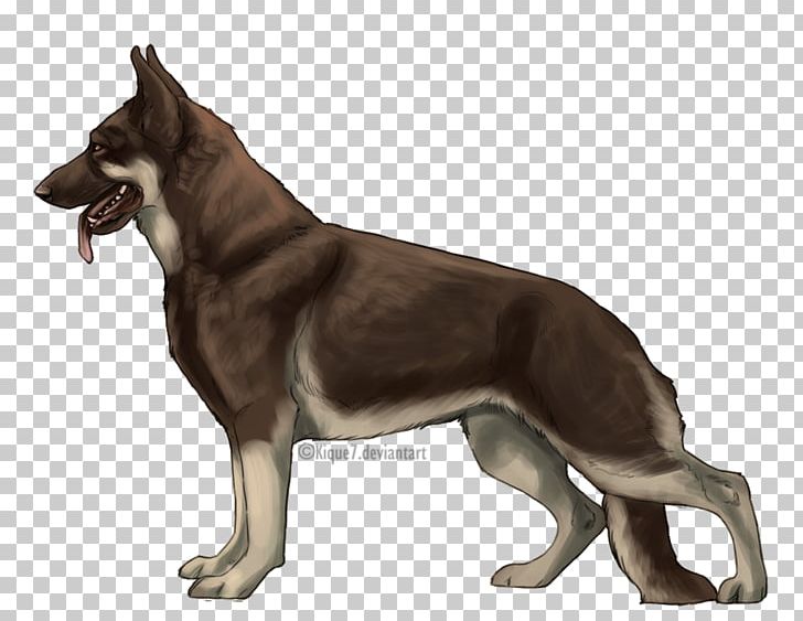 German Shepherd Tamaskan Dog East-European Shepherd Dog Breed Shiloh Shepherd Dog PNG, Clipart, Animals, Breed, Can, Carnivoran, Dog Breed Free PNG Download