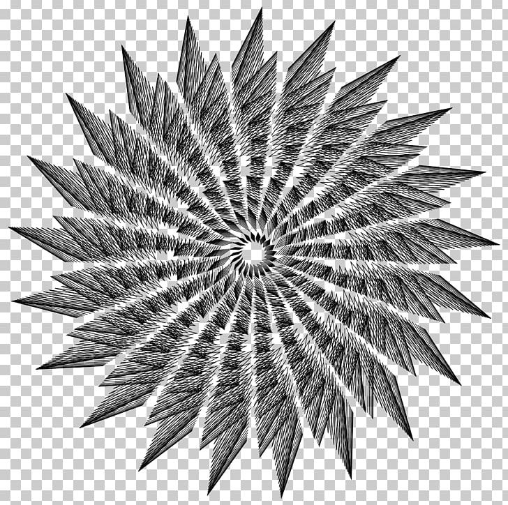 Photography Sunburst PNG, Clipart, Architecture, Art, Black And White, Circle, Decorative Arts Free PNG Download