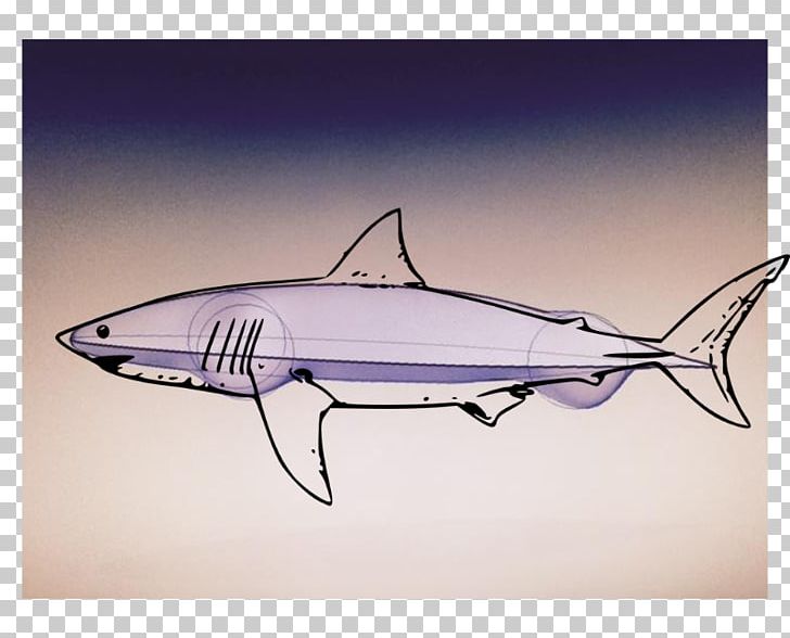 Shark Fauna Swordfish PNG, Clipart, Animals, Fauna, Fin, Fish, Shark Free PNG Download
