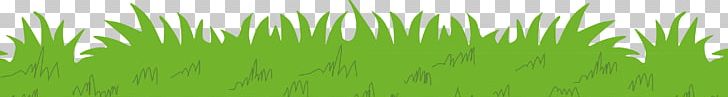 Vetiver Wheatgrass Lawn Meadow PNG, Clipart, Artificial Grass, Chrysopogon, Computer, Computer Wallpaper, Grass Free PNG Download