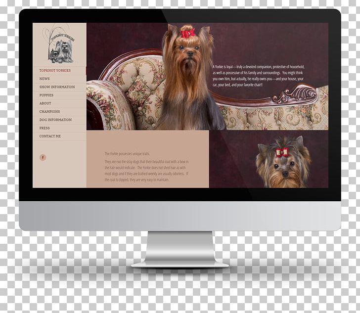 Web Design Web Development Graphic Design PNG, Clipart, Brand, Carnivoran, Designvegas, Dog Like Mammal, Graphic Design Free PNG Download