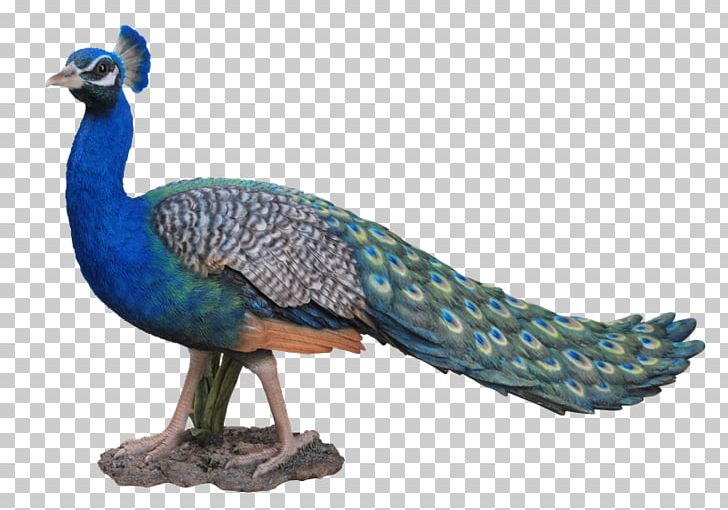 Bird Pavo Ornament Art Dog PNG, Clipart, Animal Figure, Art, Arts, Beak, Bird Free PNG Download
