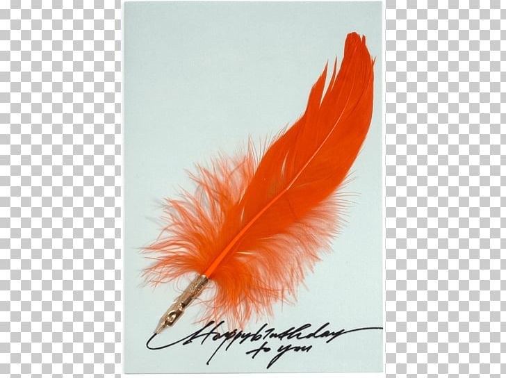 Feather PNG, Clipart, Animals, Birthday, Feather, Gulliver, Orange Free PNG Download