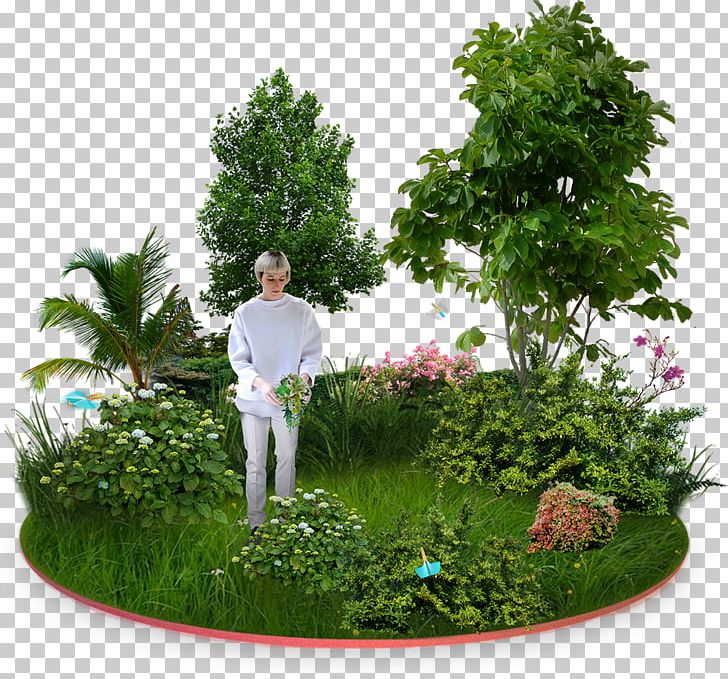 Garden Furniture Tree Flower Garden PNG, Clipart, Back Garden, Branch, Evergreen, Flower Garden, Flowerpot Free PNG Download