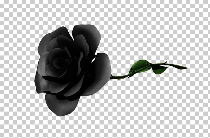 Garden Roses Flower Garden Portable Network Graphics PNG, Clipart, Black, Black Rose, Cut Flowers, Flower, Flower Garden Free PNG Download