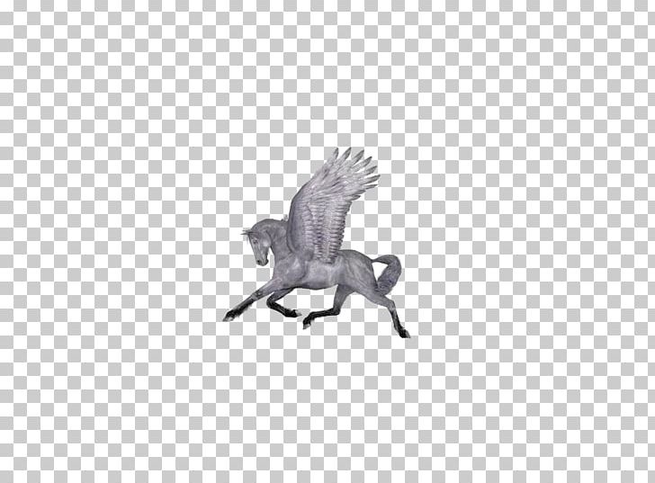 Horse Euclidean PNG, Clipart, Adobe Illustrator, Bird, Bla, Computer Wallpaper, Decoration Free PNG Download