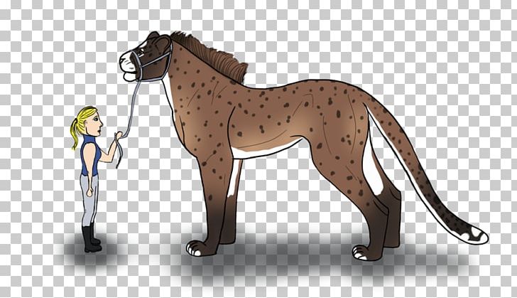 Stallion Foal Mustang Pony PNG, Clipart, Animals, Big Cats, Bridle, Carnivoran, Cat Free PNG Download