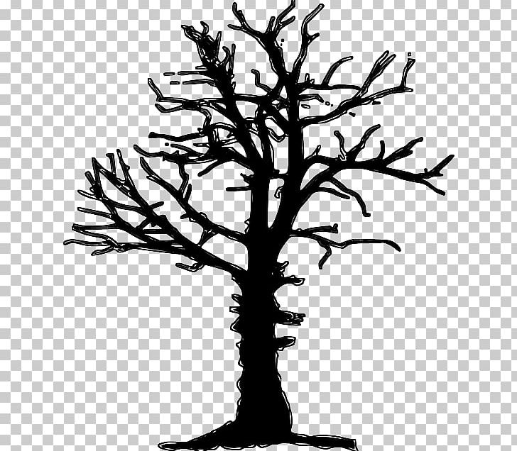 Tree Drawing Forest Dieback PNG, Clipart, Black And White, Branch, Computer Icons, Death, Drawing Free PNG Download