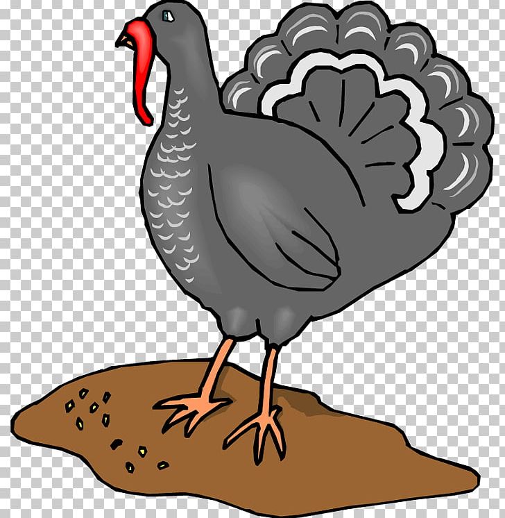 Turkey Chicken PNG, Clipart, Animals, Artwork, Beak, Bird, Black And White Free PNG Download