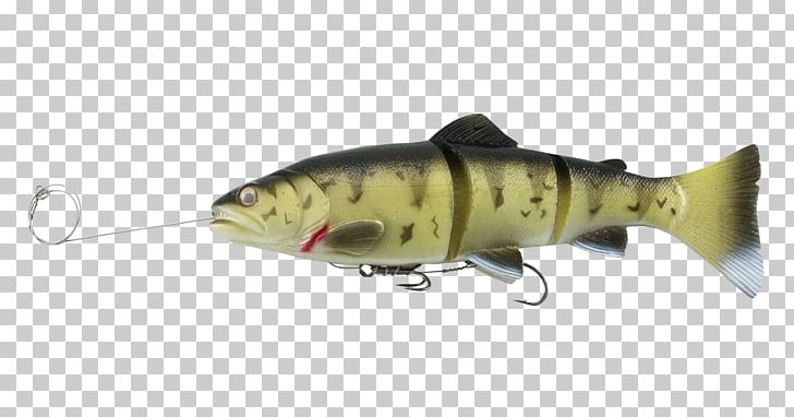 Fishing Baits & Lures Trout Swimbait PNG, Clipart, Angling, Animal, Bait, Bony Fish, Catfish Free PNG Download