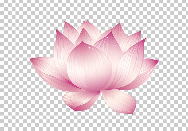 Introduction To The Guan Yin Citta Dharma Door (Simplified Chinese) Guanyin Buddhism Nelumbo Nucifera PNG, Clipart, Android, Apk, App, Aquatic Plant, Ban Free PNG Download