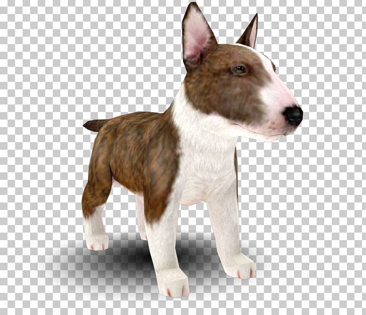 Miniature Bull Terrier Bull And Terrier Old English Terrier Dog Breed PNG, Clipart, Bull Terrier, Bull Terrier Miniature, Carnivoran, Dog, Dog Breed Free PNG Download