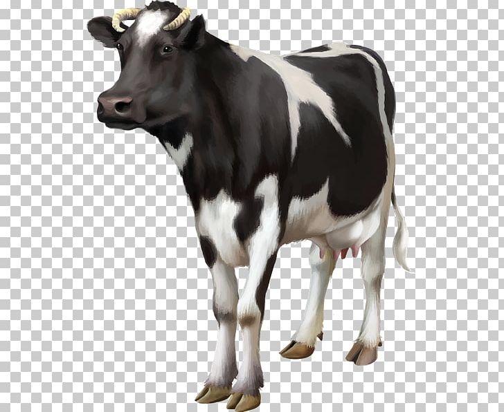 Guernsey Cattle Livestock Dairy Cattle Bull PNG, Clipart, Animal, Bull, Calf, Cattle, Cattle Like Mammal Free PNG Download
