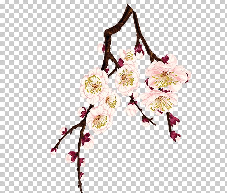 Plum Blossom Flower PNG, Clipart, Branch, Cherry, Download, Floral Design, Floristry Free PNG Download