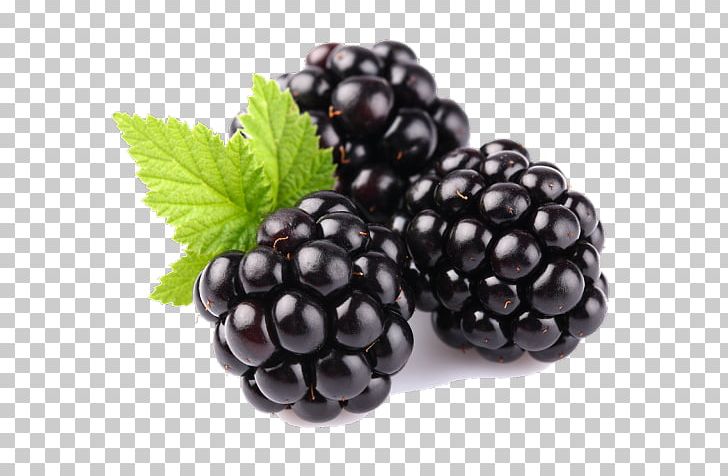 Blackberry Portable Network Graphics Fruit PNG, Clipart, Berry, Bilberry, Birne, Blackberry, Blueberry Free PNG Download