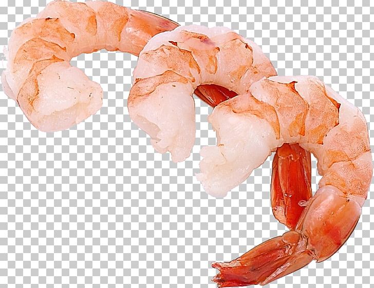 shrimp cocktail clip art