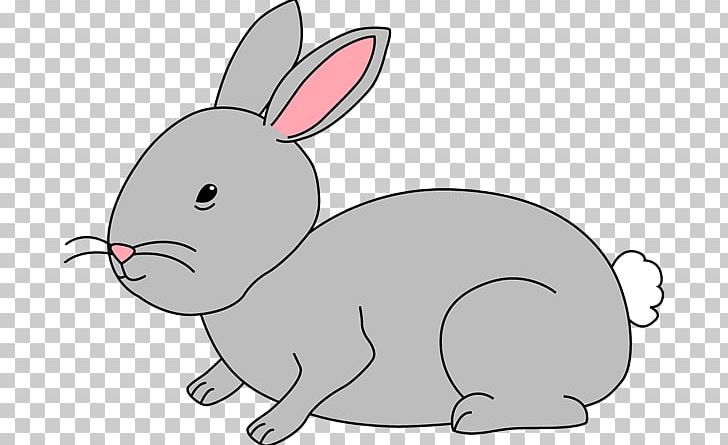Rabbit Free Content Blog PNG, Clipart, Art, Blog, Color, Cuteness, Domestic Rabbit Free PNG Download