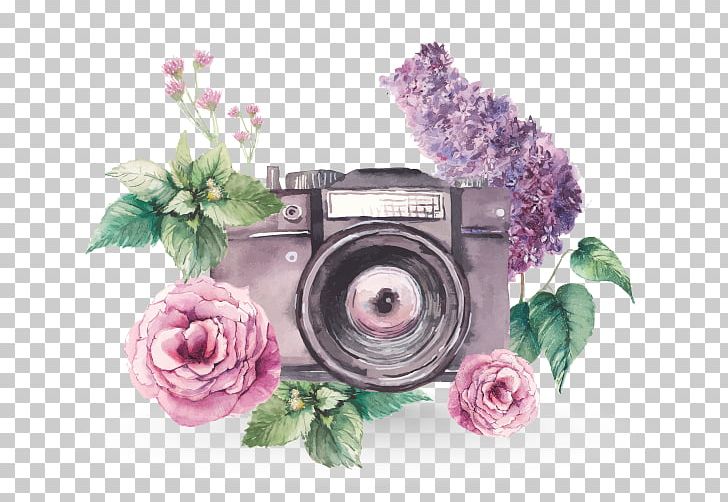 Watercolor Painting Photography PNG, Clipart, Art, Cut Flowers, Drawing, Floral Design, Flower Free PNG Download