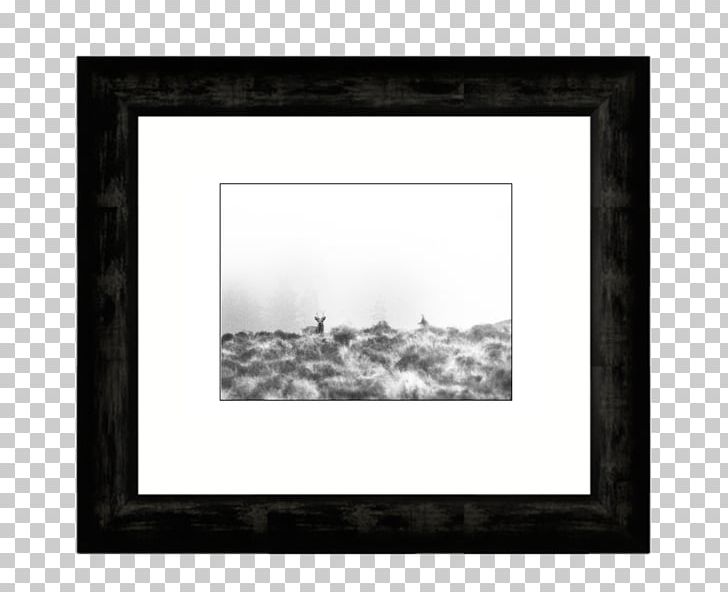 Frames Mat Art PNG, Clipart, Architecture, Art, Black And White, Fine Art, Living Room Free PNG Download