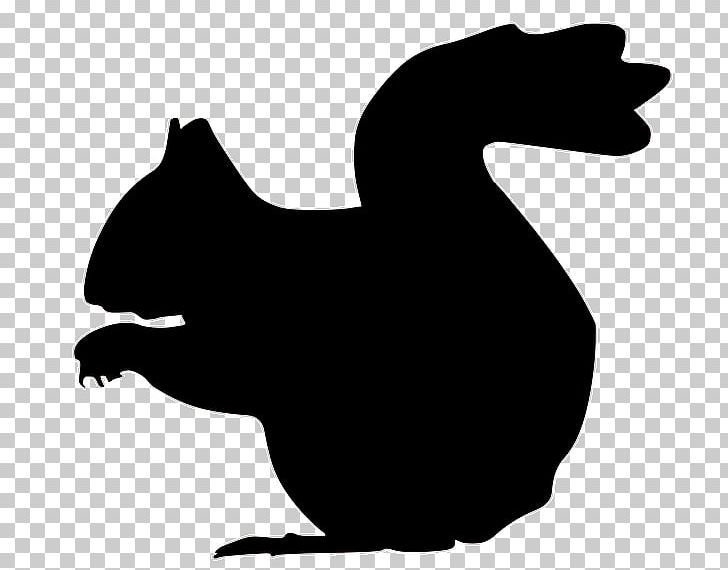 Squirrel Silhouette PNG, Clipart, Animals, Beak, Bird, Black, Black And White Free PNG Download