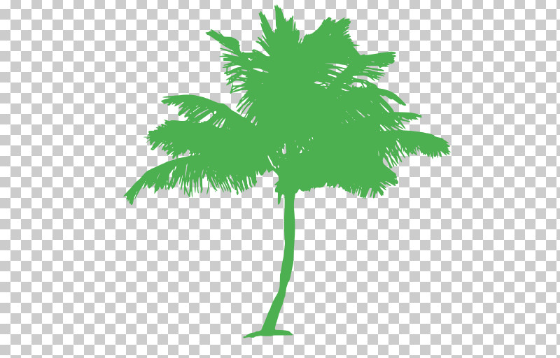 Palm Tree PNG, Clipart, Arecales, Coconut, Green, Leaf, Palm Tree Free PNG Download