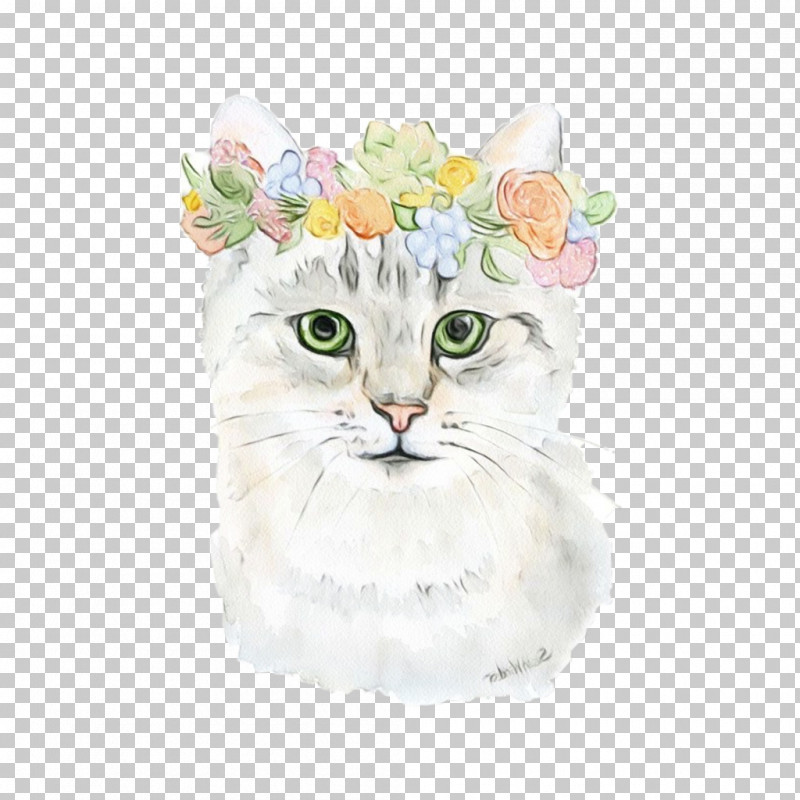 Cat White Small To Medium-sized Cats Whiskers Watercolor Paint PNG, Clipart, American Curl, Cat, Kitten, Paint, Small To Mediumsized Cats Free PNG Download