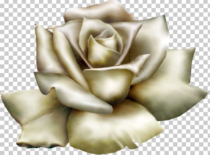 Rose White PNG, Clipart, Art, Beautiful, Blog, Clip Art, Clipart Free PNG Download