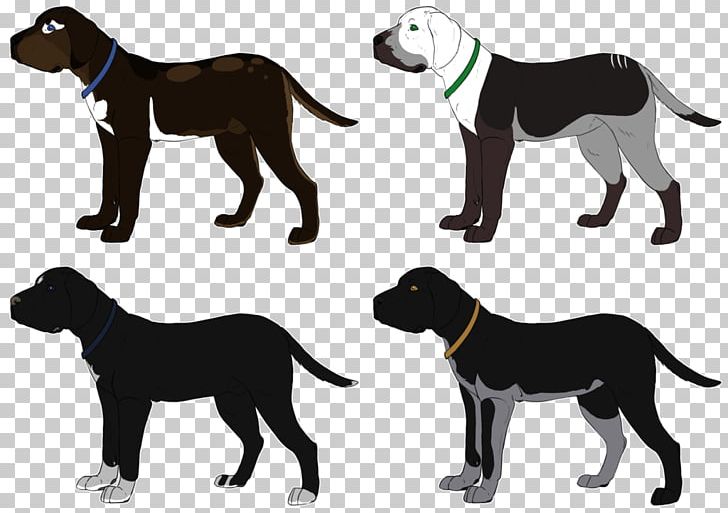Dog Breed Great Dane Golden Retriever Puppy Sporting Group PNG, Clipart,  Free PNG Download
