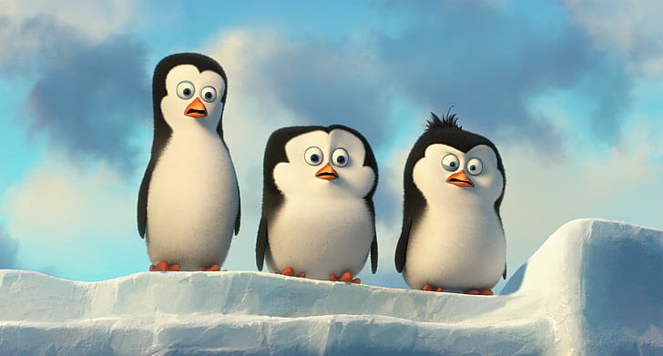 Kowalski Skipper Penguin Madagascar PNG, Clipart, Animals, Animation, Beak, Bird, Computer Wallpaper Free PNG Download