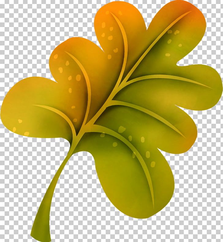 Leaf Petal PNG, Clipart, Autumn, Blog, Color, Designer, Flora Free PNG Download