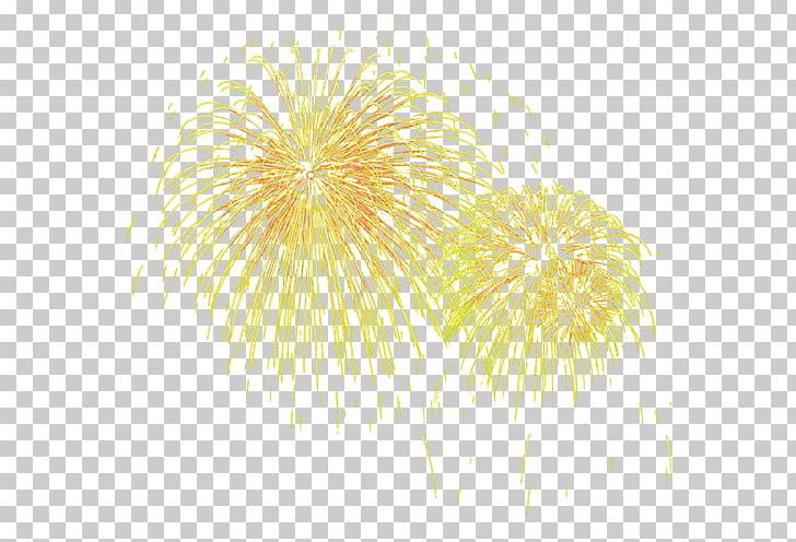 Petal Yellow Pattern PNG, Clipart, Cartoon Fireworks, Celebrate, Festival, Firework, Fireworks Free PNG Download
