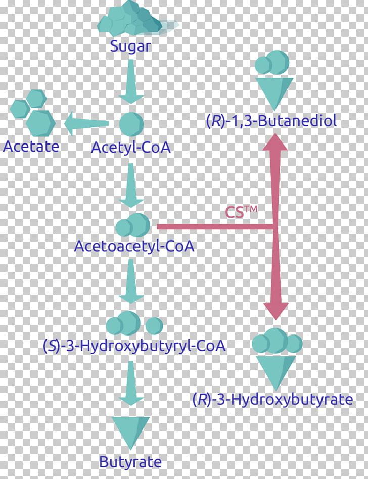 Point Technology PNG, Clipart, Angle, Aqua, Area, Butanediol, Diagram Free PNG Download