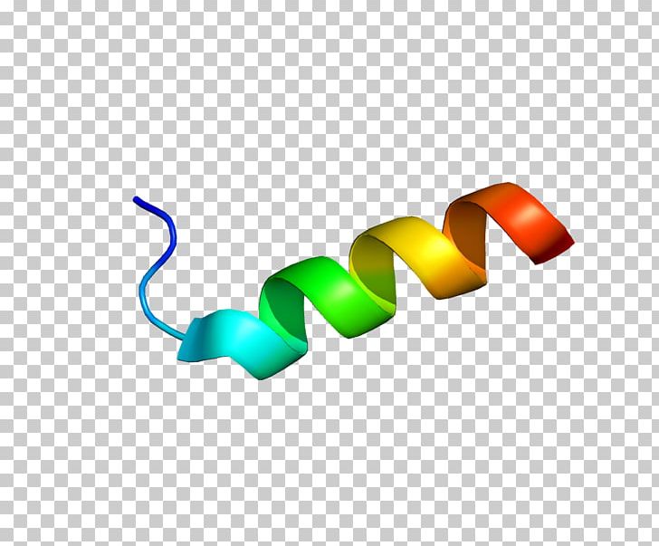 S100A11 S100 Protein Gene Calcium-binding Protein PNG, Clipart, Amino Acid, Calcium, Calciumbinding Protein, Cell, Chromosome Free PNG Download