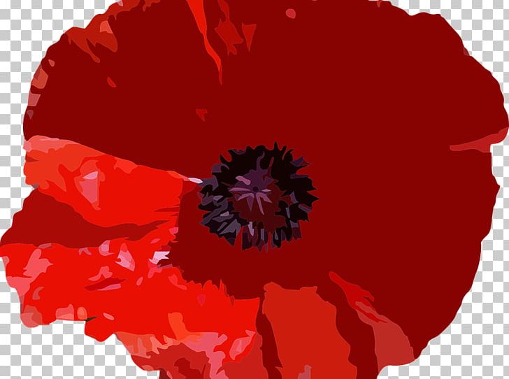 Common Poppy Graphics Stock Photography PNG, Clipart, Botanical, Botany, Common Poppy, Coquelicot, Floral Free PNG Download