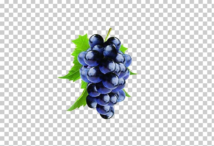 Kyoho Wine Grape Seed Extract Tank Factory PNG, Clipart, Bilberry, Common Grape Vine, Food, Fruit, Fruit Nut Free PNG Download