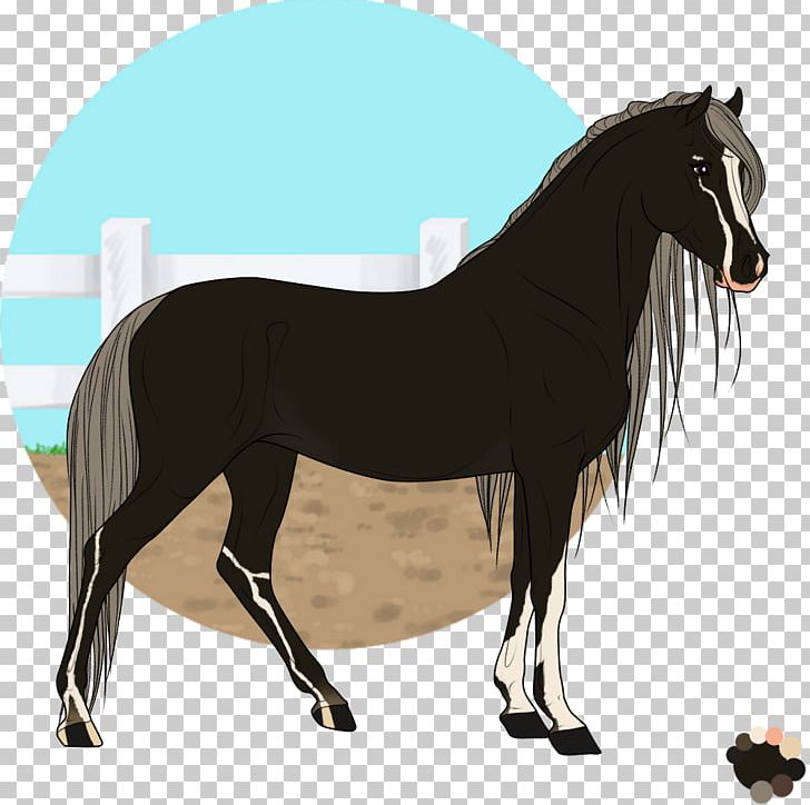 Mane Mustang Stallion Foal Colt PNG, Clipart, Bridle, Colt, English Riding, Equestrian, Foal Free PNG Download