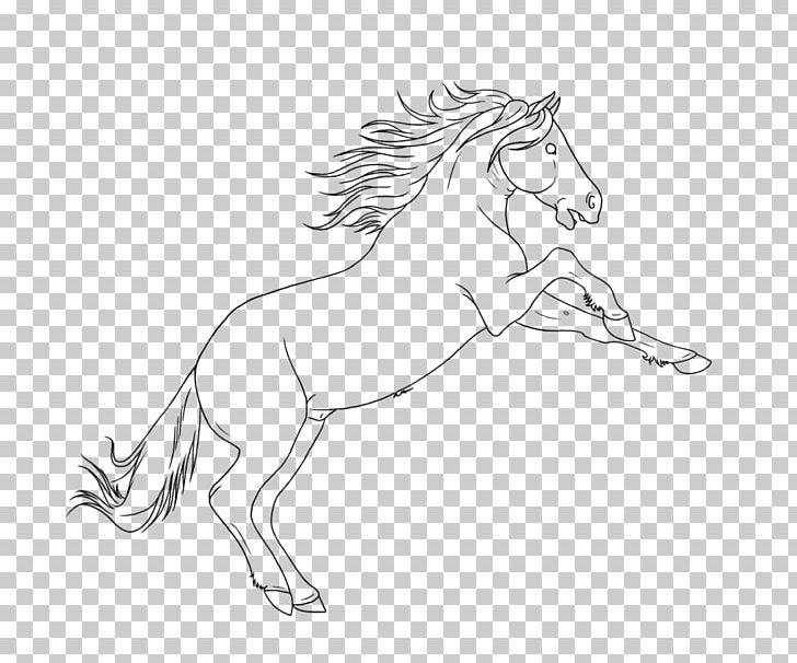 Mustang Brumby Pony Drawing Sketch PNG, Clipart, Arm, Artwork, Black And White, Brumby, Colt Free PNG Download