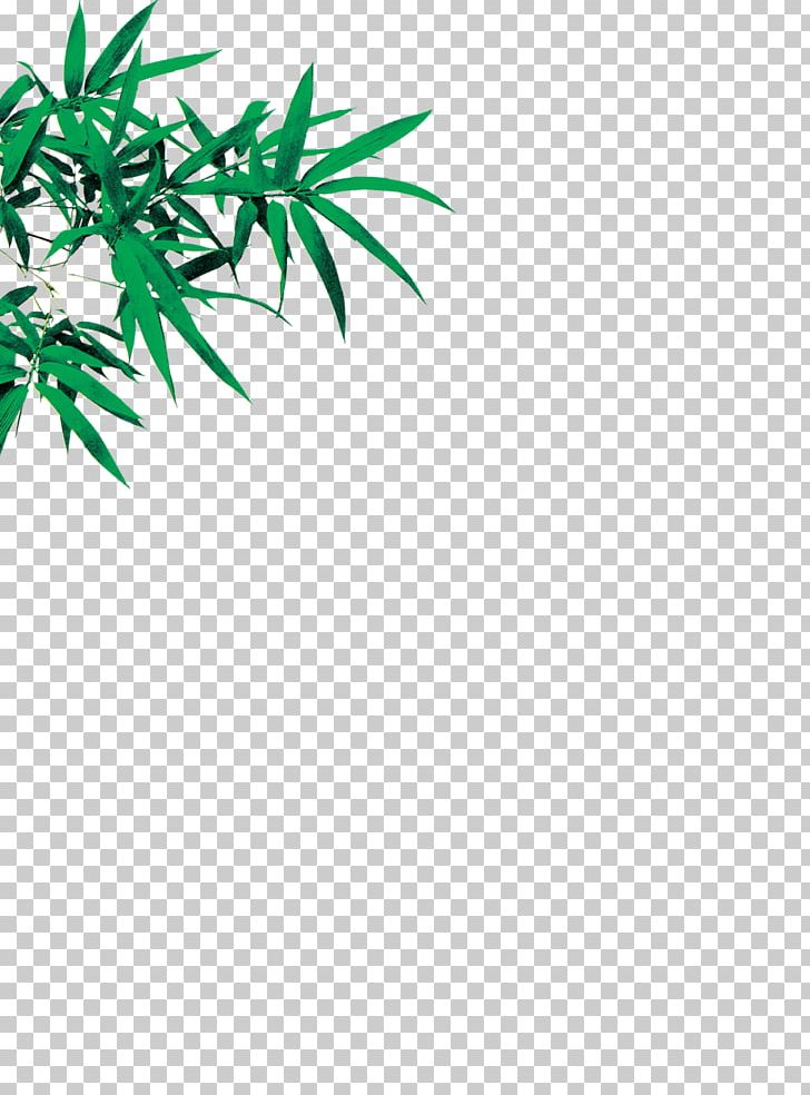 Bamboo Leaf Euclidean PNG, Clipart, Autumn Leaves, Background, Bamboe, Bamboo, Banana Leaves Free PNG Download