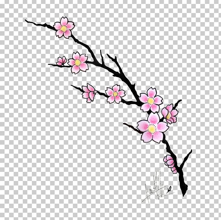 Cherry Blossom Drawing PNG, Clipart, Area, Art, Artwork, Blossom, Body Jewelry Free PNG Download