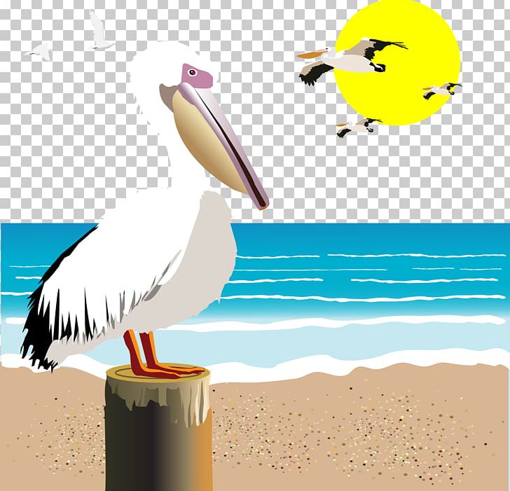 Gulls Seabird Illustration PNG, Clipart, Beach, Beak, Bird, Cartoon Seagull, Download Free PNG Download
