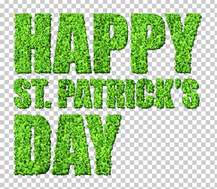 Saint Patrick's Day March 17 PNG, Clipart, Brand, Clip Art, Computer Icons, Grass, Grass Family Free PNG Download