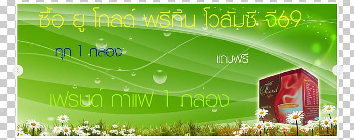 Graphic Design Lawn Brand Energy Desktop PNG, Clipart, Advertising, Banner, Brand, Computer, Computer Wallpaper Free PNG Download