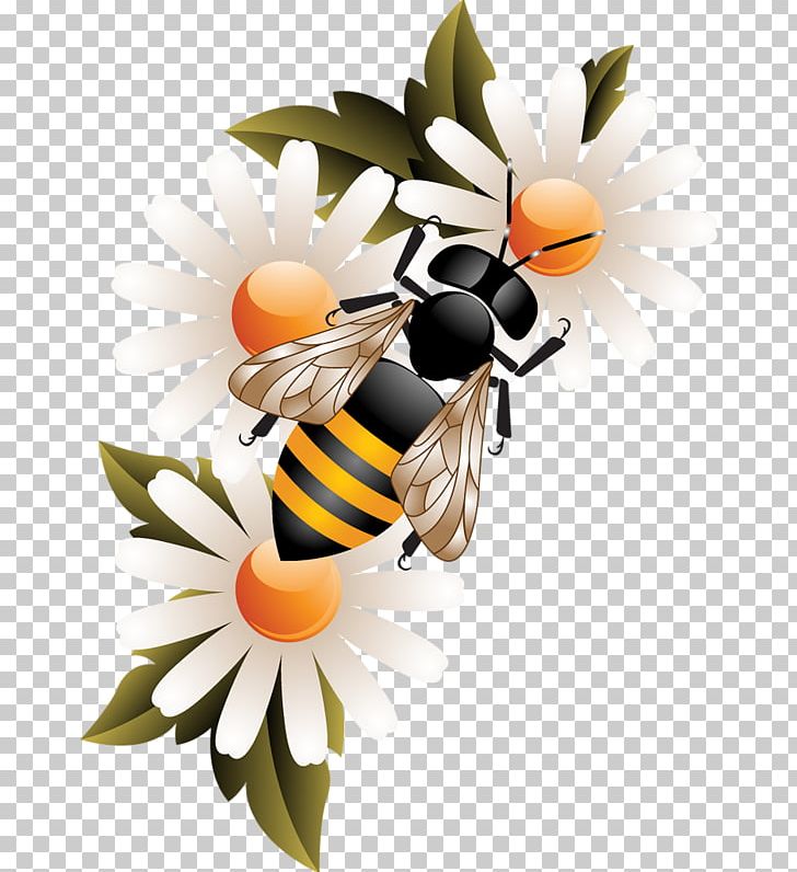 Honey Bee Beehive PNG, Clipart, Bee, Bee Hive, Bee Honey, Bees, Bees Honey Free PNG Download
