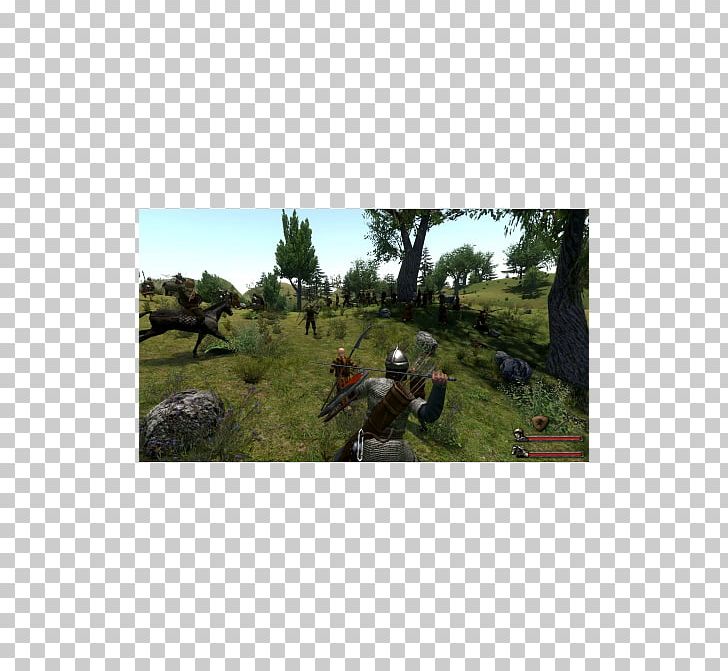 Mount & Blade: Warband Mount & Blade: With Fire & Sword Mount & Blade II: Bannerlord TaleWorlds Entertainment Role-playing Game PNG, Clipart, Action Roleplaying Game, Biome, Ecosystem, Expansion Pack, Game Free PNG Download