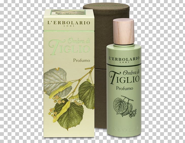 Perfume Eau De Parfum Cosmetics Eau De Toilette Shower Gel PNG, Clipart,  Free PNG Download